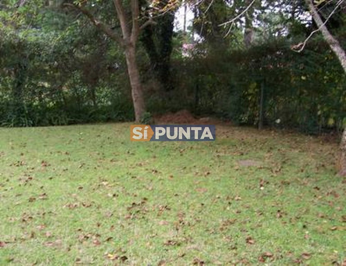 Imagen 5 de 5 de Casa En Alquiler Playa Mansa