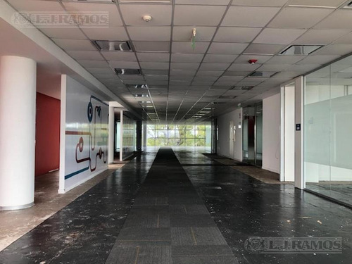Imagen 5 de 17 de Alquiler De Oficina De 400 M2 En Vicente López