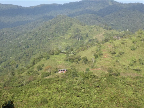 Venta Finca Campestre Cali Lote De 14.7 Ha Con Dos Casas Y Naturaleza.