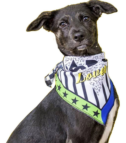 Imagen 4 de 9 de Bandanas Estampadas Para Perros. Varios Modelos