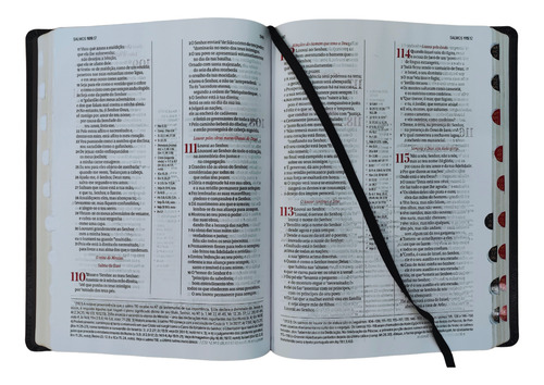 Biblia De Estudo Scofield Grande Almeida Contemporanea Capa Luxo Azul Com Indice Lateral Palavras De Jesus Em Vermelho