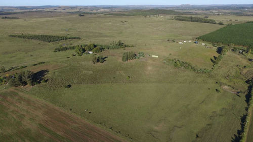Campo Chacra En Venta Lavalleja, 11 Hectáreas.