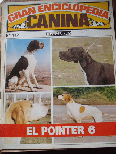 Gran Enciclopedia Canina N° 132 El Pointer 6 Bruguera