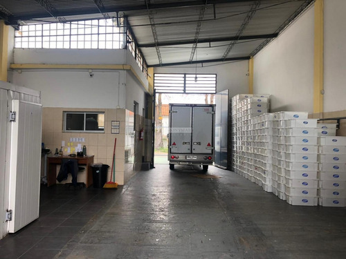 Imagen 21 de 21 de Local Galpon Venta Balbin Y Vallejo Antel Arena Con Cámara De Congelado Y De Frío