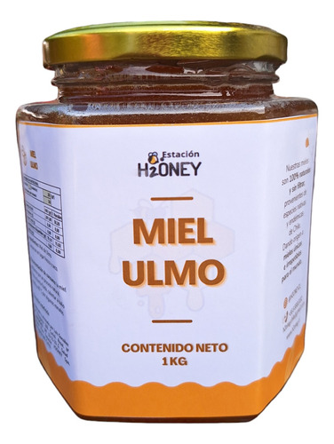 Miel De Abejas. Ulmo, 1 Kg, Estación H2oney