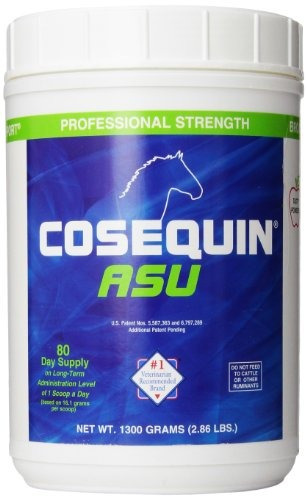 Nutramax Cosequin Asu Equine Powder