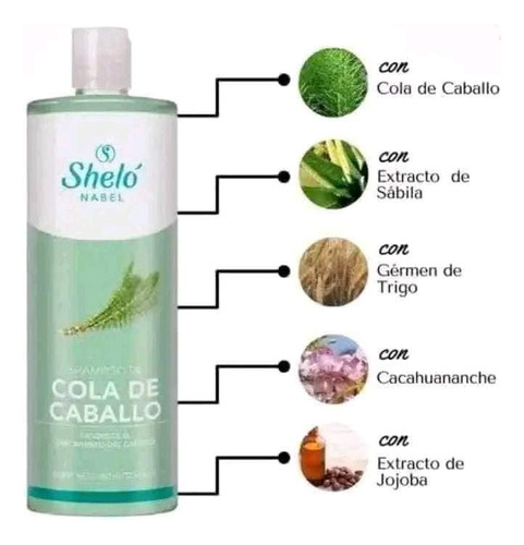 2 Shampoo De Cola De Caballo Shelo Nabel 950ml