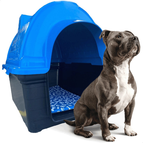 Casinha Plástica Cachorro Colchonete Número 6 Cor Azul Desenho N/a