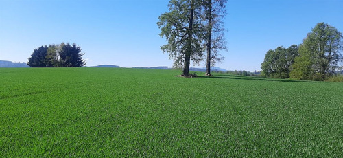 Se Vende Predio Agrícola Y Ganadero De 40 Hectáreas En Futro