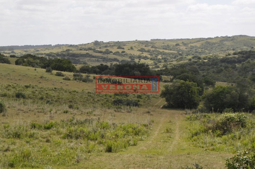 Imagen 14 de 30 de Venta Campo Ubicado En Garzón