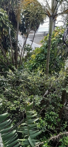 Imagem 10 de 10 de Casa Para Venda, 2 Dormitórios, Vila Verde - São Paulo - 205