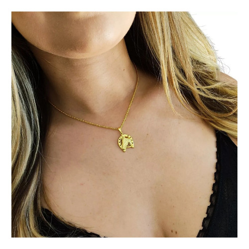 Colar Choker Feminino Tungstênio Pingente Ferradura Cavalo Cor Dourado