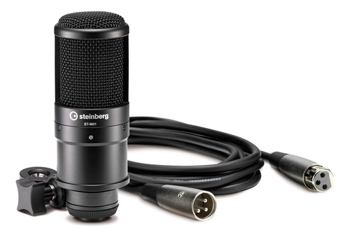 Pack Podcast Steinberg Ur12b Placa Mic Auricular Grabacion Color Negro