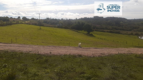 Chácara A Venda No Bairro Centro Em Morro Redondo - Rs. - 1515-1