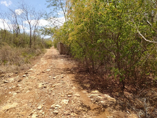 Terreno En Venta En Chablekal