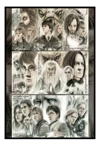 Cuadro Premium Poster 33x48cm Saga Harry Potter