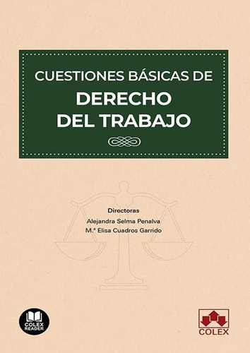 Cuestiones Básicas De Derecho Del Trabajo: 1 (biblioteca Jur