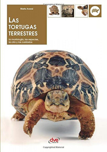 Libro: Las Tortugas Terrestres. Avanzi, Marta. Ibd Podiprint