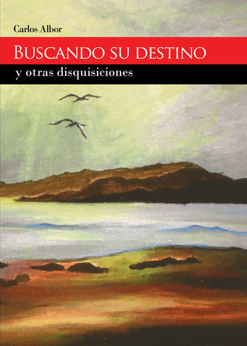 Buscando Su Destino Y Otras Disquisiciones, De Albor , Carlos.., Vol. 1.0. Editorial Punto Rojo Libros S.l., Tapa Blanda, Edición 1.0 En Español, 2032
