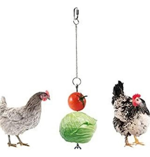 Vehomy Soporte De Frutas Para Gallinas, Pollo, Verduras,