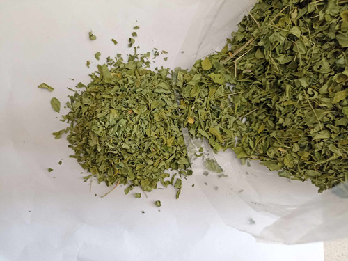 Té Compuesto, Moringa, Multivitamínico Y Nutricional 1 Kg