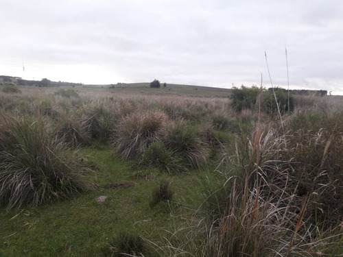 Campo De 47 Has En Paraje Los Caracoles - Consulte !!!!!- Ref: 1359