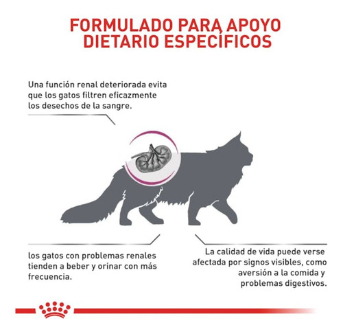 Royal Canin Renal Gato 2kg