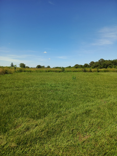 Vendo Finca 1.5hectaria Con Casa