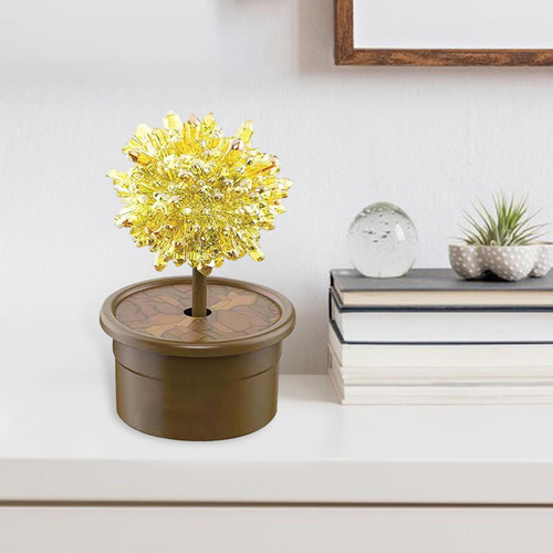 Kit De Cultivo De Cristal Brinquedo Educativo Para Amarelo