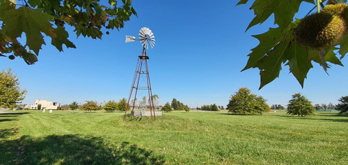 Oportunidad - Lote En Barrio La Reserva Escondida , Area 60, Sup. 2478 M2, Enorme. (como Si Fueran 4 Lotes De 600 M2, Pero Es Uno Solo)