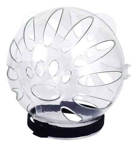 Casco Protector Para La Cabeza De Gato Y Gatito Space Hood,