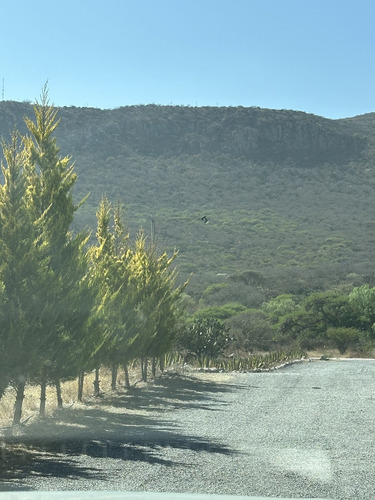Terreno En Venta Frente A Peña De Bernal
