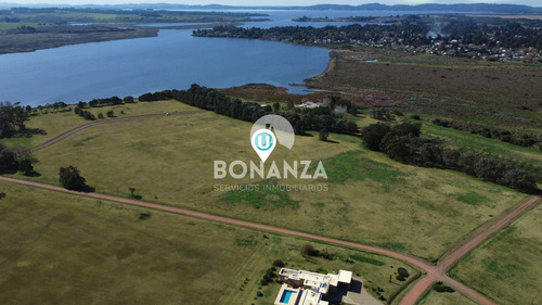 Imagen 2 de 13 de Laguna De Los Cisnes, Barrio Privado. Terrenos En Venta A 15 Min De Punta Del Este. Piriápolis, Maldonado.