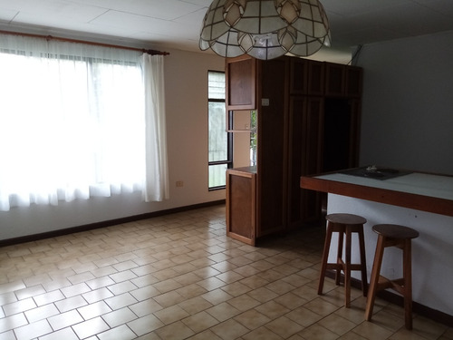 Imagen 4 de 23 de Alquiler De Hermosos Apartamentos