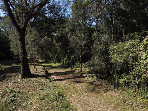 Terreno En Venta Los Perales Horco Molle