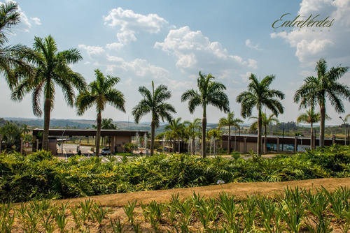 Imagem 1 de 24 de Venda Terrenos Entreverdes Campinas - Oportunidade