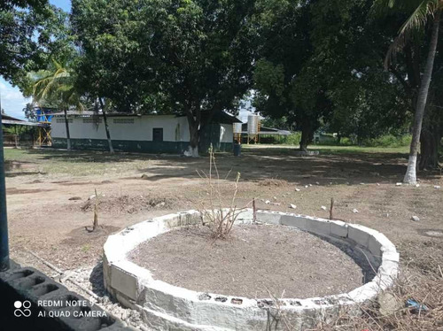 Imagen 6 de 17 de Finca De 12 Hectareas De Gallinas Ponedoras En Villa De Cura