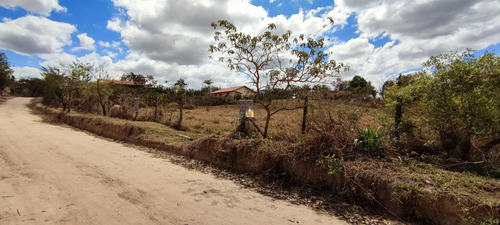 Imagem 11 de 15 de Lote Em Esmeraldas - Te00420 - 70076598