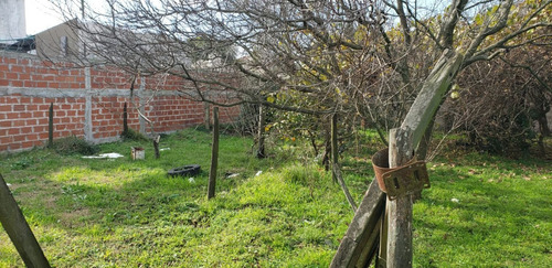 Imagen 6 de 10 de Terreno En Venta En Berazategui