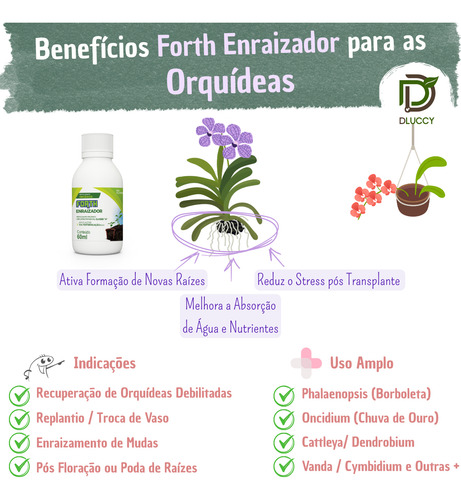Forth Enraizador 60ml Para Orquídea Oncidium Chuva De Ouro