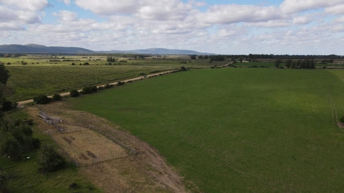 Campo En Venta En Solís De Mataojo