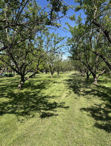 Acceso Sur- Rio Maipo- Curihue/ -parcela Con Luz Y Agua Inst