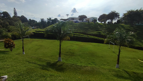 Imagen 20 de 30 de Finca De Alquiler Por Días Combia #11-pereira