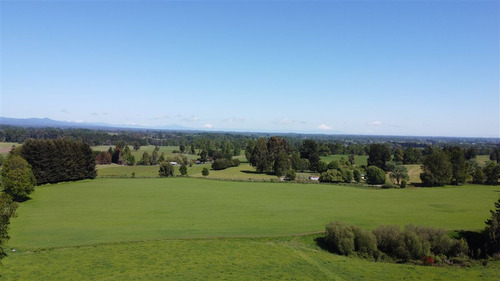 Parcelas A 13 Minutos Del Lago Ranco, En Puerto Nuevo