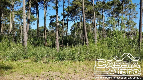 Imagen 9 de 14 de Lote En Pinamar. Venta.