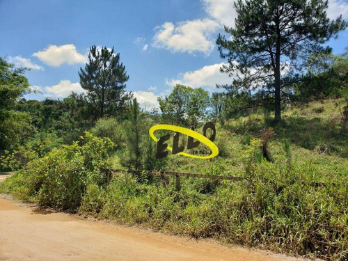 Imagem 3 de 19 de Terreno À Venda, 21250 M² Por R$ 1.100.000,00 - Jardim Nossa Senhora Das Graças - Cotia/sp - Te0873