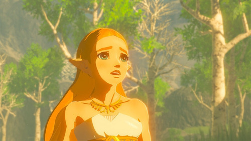 Imagen 7 de 8 de The Legend of Zelda: Breath of the Wild Standard Edition Nintendo Switch Físico