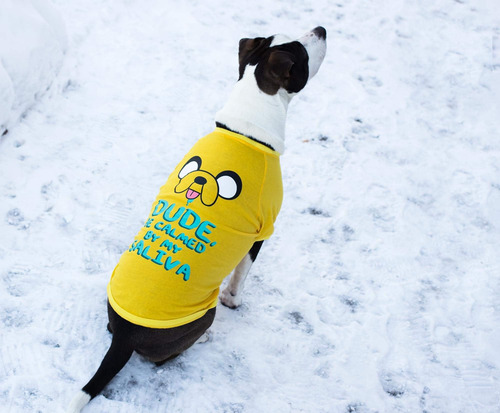 Tiempo De Aventura Jake Saliva Pet Camiseta: X-large