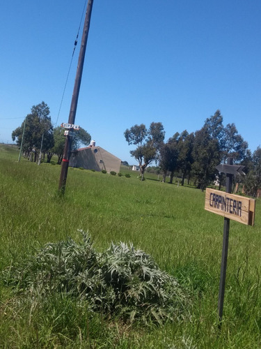 Miramar Vendo Terreno-lote 400 Mts Arenas De Oro