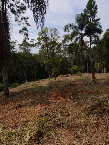 Imagem 5 de 10 de Terreno De 1.000m2 Na Ilha Do Borore Condomínio Fechado